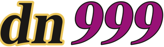 dn999 logo
